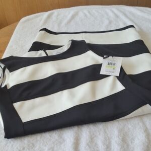 Calvin Klein Black and White Womens  Dress Size 4